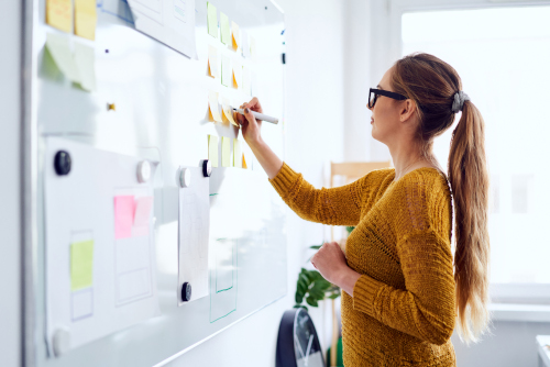 Simulation Praxisgründung an der Friedrich-Alexander Universität Erlangen-Nürnberg Junge Frau vor einem White-Board